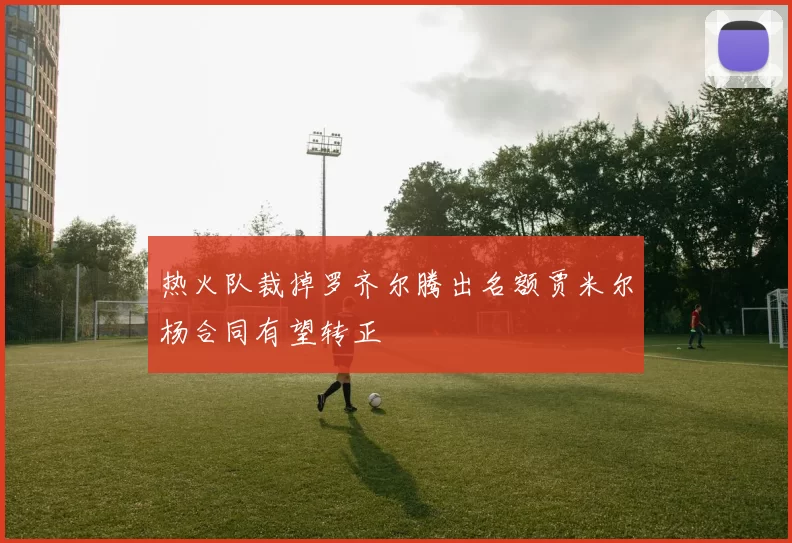 热火队裁掉罗齐尔腾出名额贾米尔杨合同有望转正